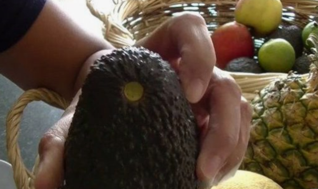 Wie du mit einem Handgriff ganz einfach testen kannst ob die Avokado lecker sein wird oder nicht