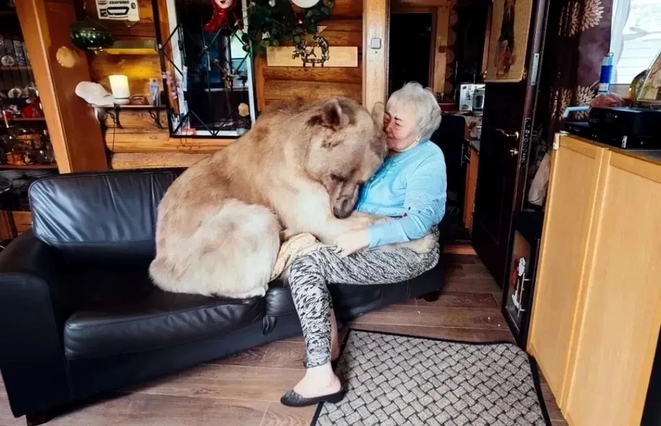 Diese ältere Dame lebt zusammen mit einem Braunbäre