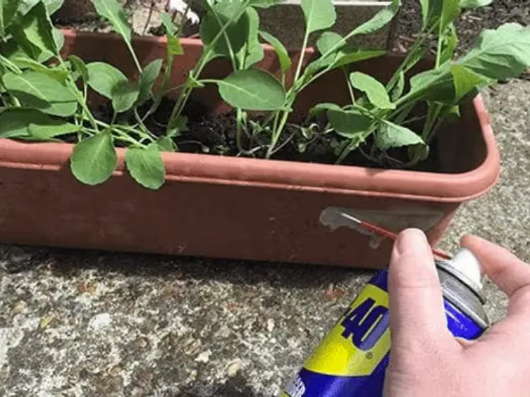 40 großartige WD-40-Hacks, die Sie rund um das Haus verwenden können