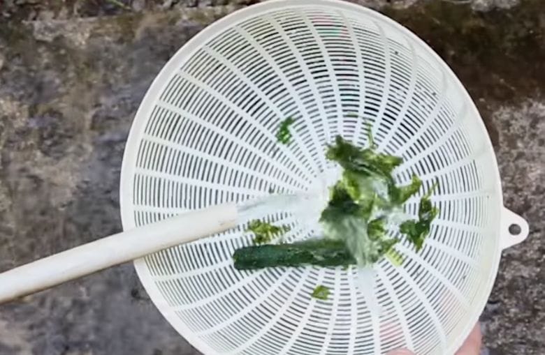 Ist dein Gartenschlauch mit Algen verstopft? Ein Schwamm spült alles sofort durch!