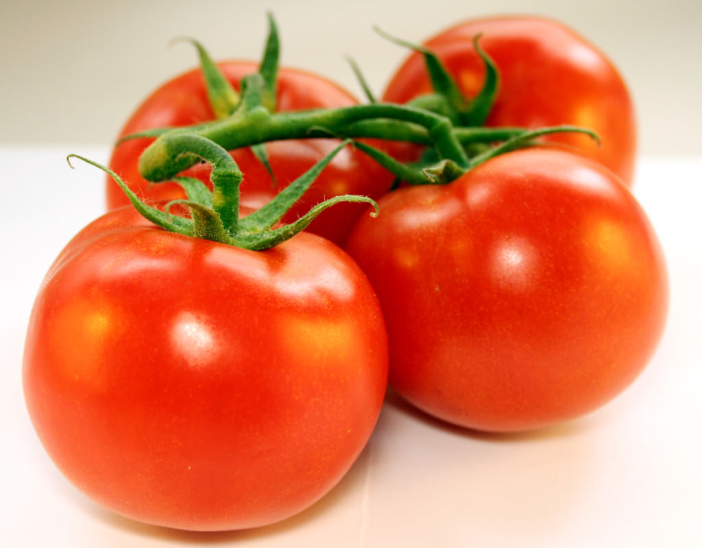 Er legt 4 Tomatenscheiben in einen Topf mit Erde. Das Ergebnis 10 Tage später ist wahrlich überraschend!