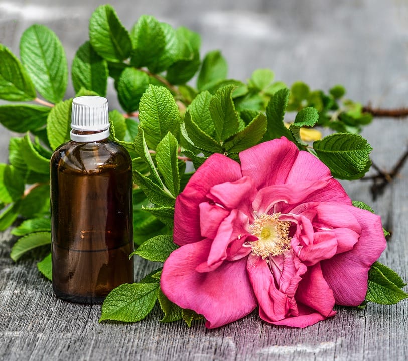 Deshalb gehört ein Fläschchen Rosenwasser in jede Schönheitspflege!