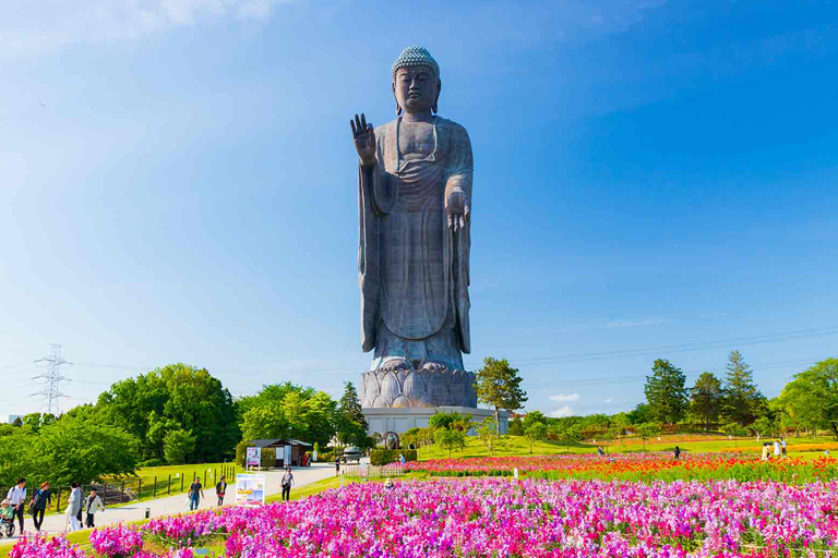Erstaunlich große Statuen auf der ganzen Welt