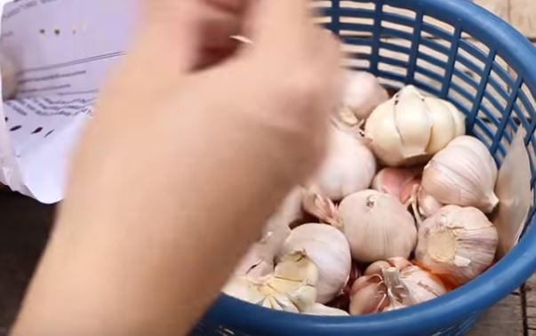 Knoblauch in Papiertüte