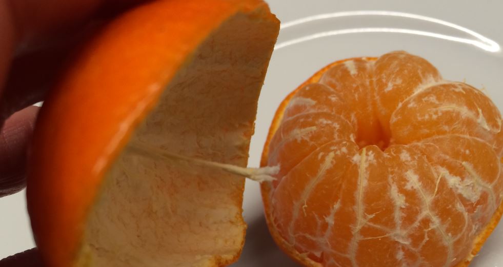 Mandarine 1