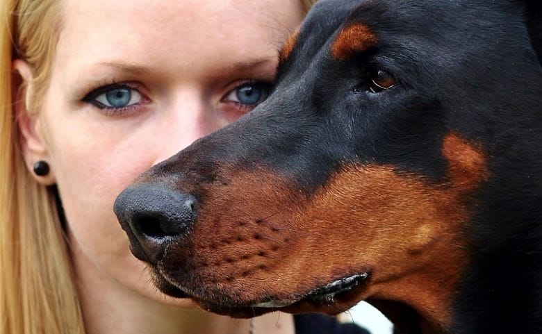 Dein Sternzeichen verrät dir, welches Haustier am besten zu dir passt