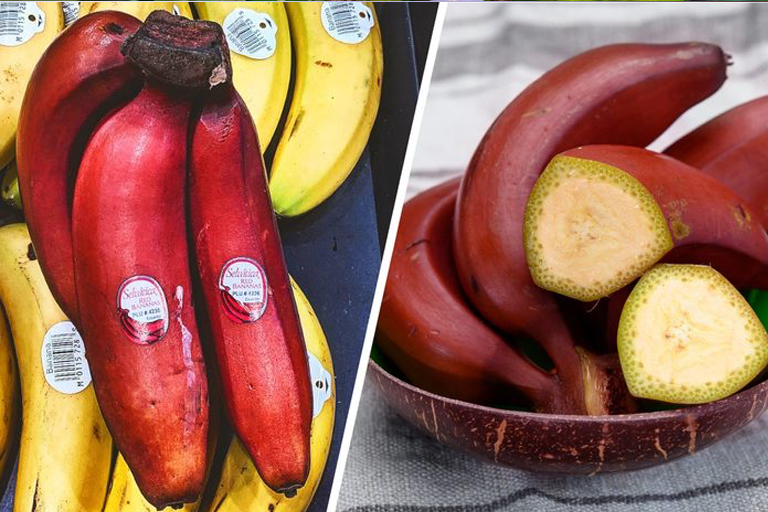 You May Never Have Heard Of These 20 Uncommon Fruits