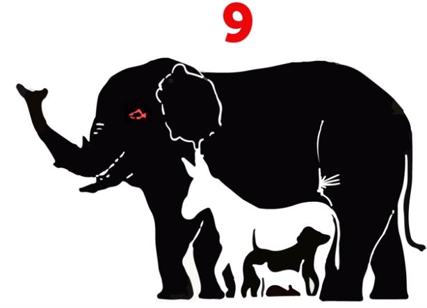 Wie viele Tiere entdeckst du? Kaum jemand kommt auf die richtige Anzahl.