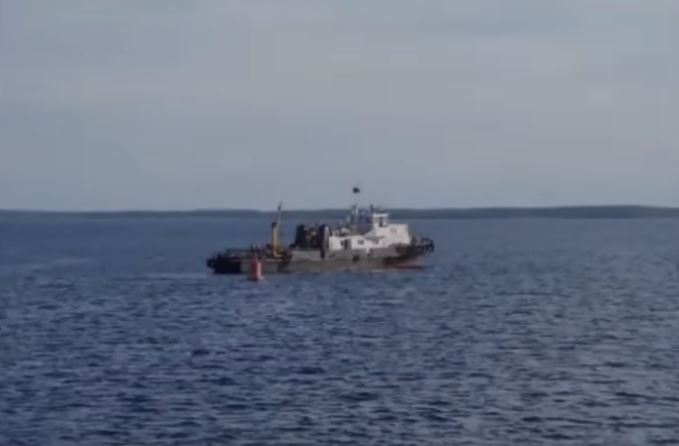 Fischerboot rettet die Jungen der Bärenmutter
