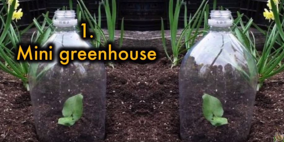 leere Plastikflaschen im Garten Gewächshaus