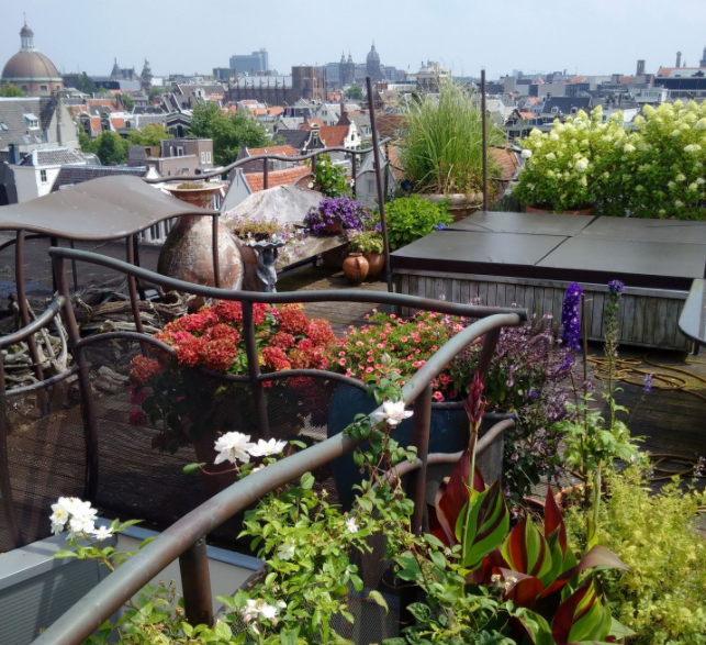 penthouse amsterdam