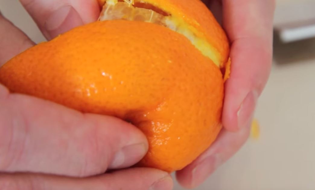 mandarine-1-4