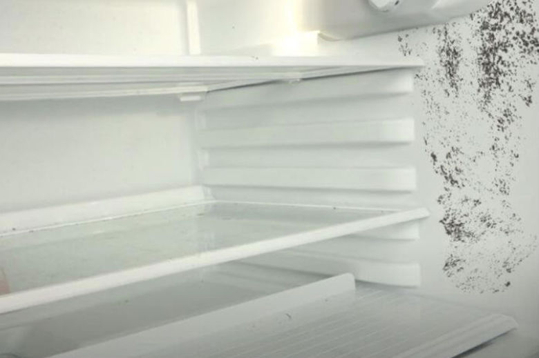 So wirst du Schimmel im Kühlschrank ganz schnell los