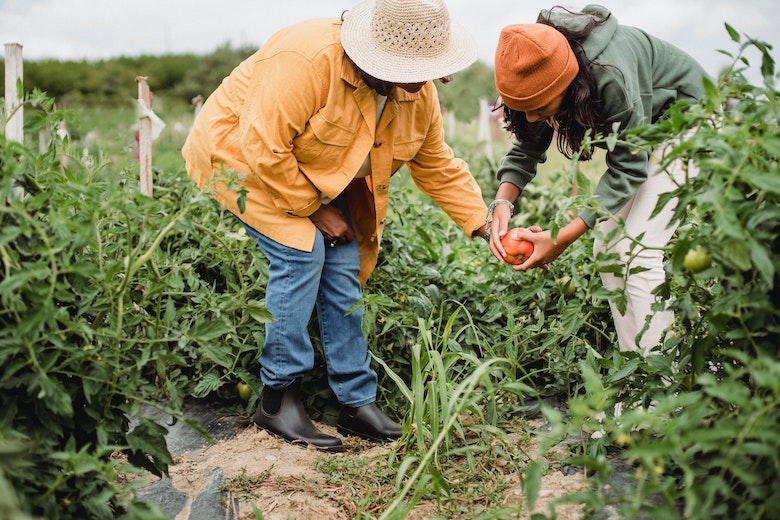 These 21 garden hacks will save you a lot of time and money
