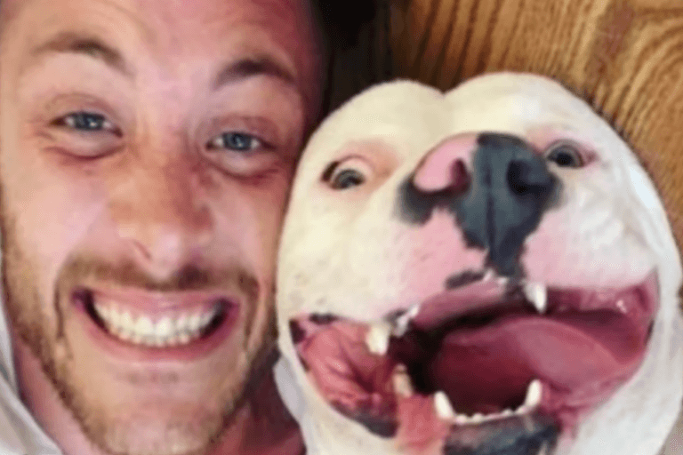 Uma foto de um cão feliz adotado era toda a evidência que a polícia precisava