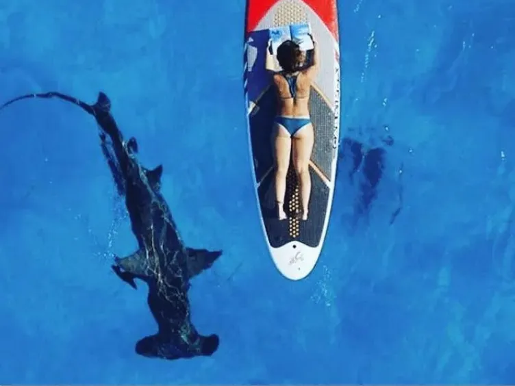 Você acha que já viu de tudo? Estas fotos de drone provam o contrário!