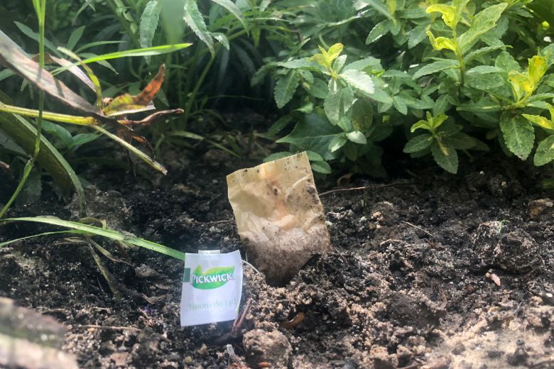 These 21 garden hacks will save you a lot of time and money