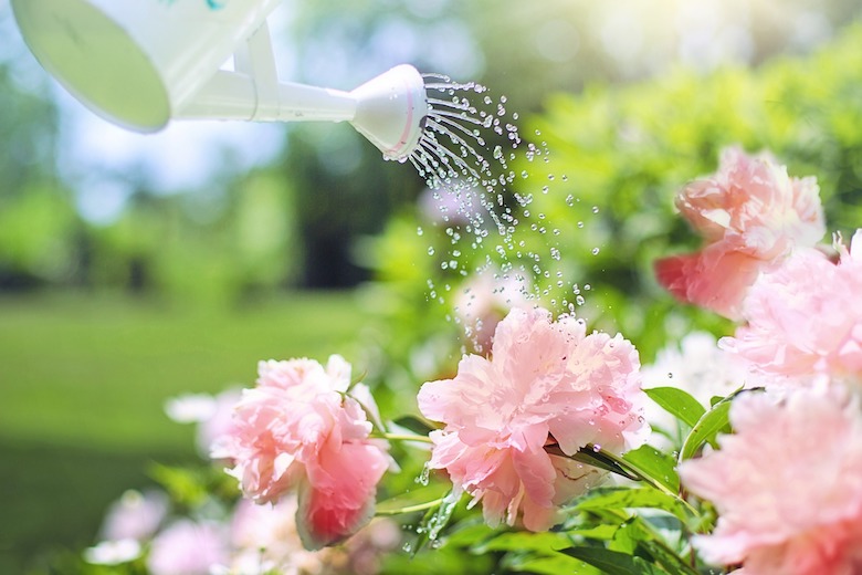 These 21 garden hacks will save you a lot of time and money
