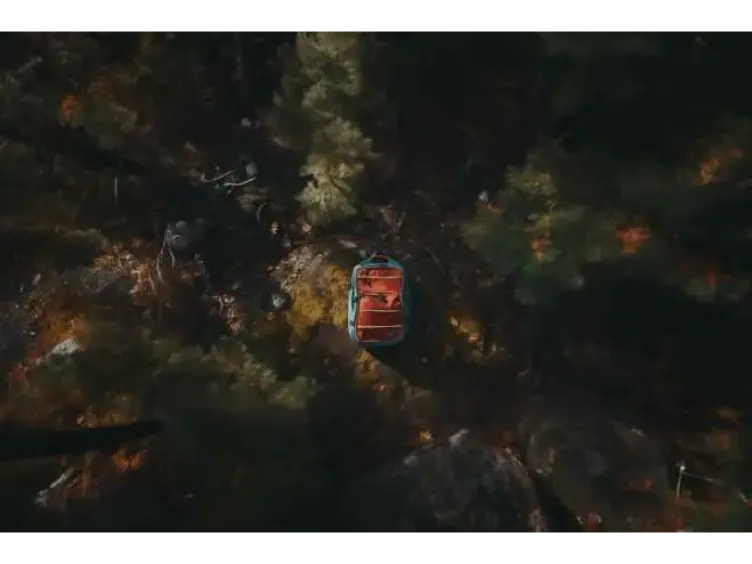 Drone captura algo que ninguém deveria ver
