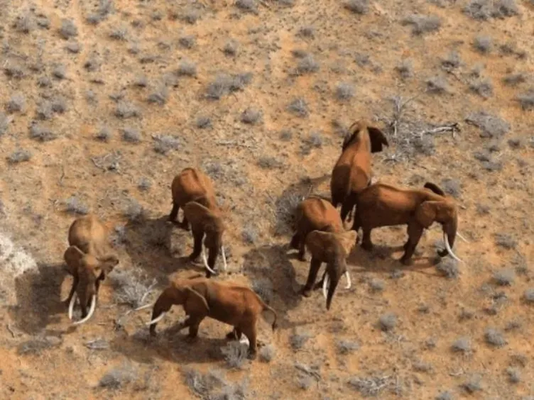 Você acha que já viu de tudo? Estas fotos de drone provam o contrário!