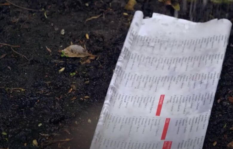 As pessoas estão colocando jornal velho no seu jardim e é por isso