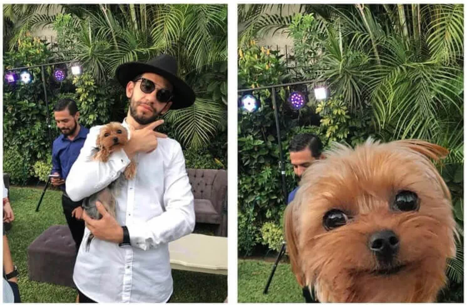 As mais hilárias interpretações errôneas de solicitações de edição de fotos