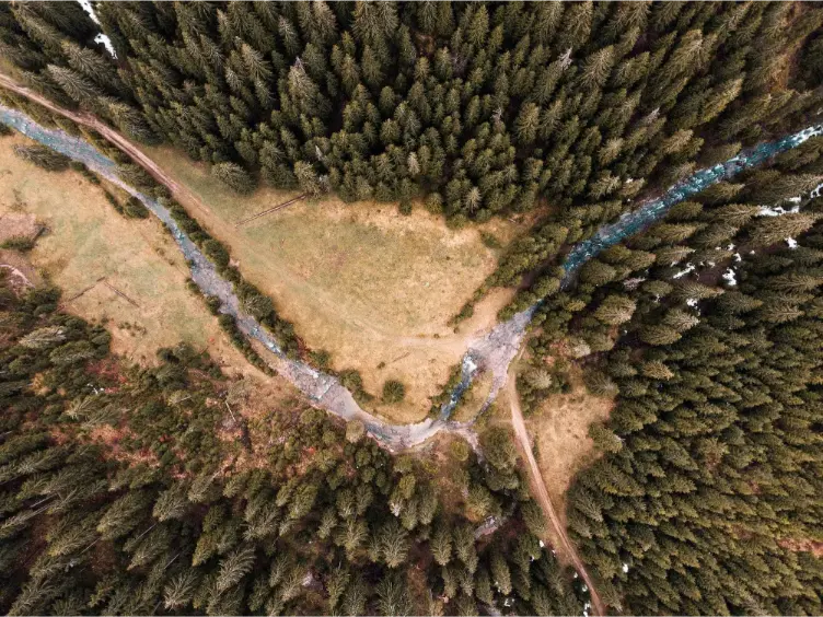 Drone captura algo que ninguém deveria ver