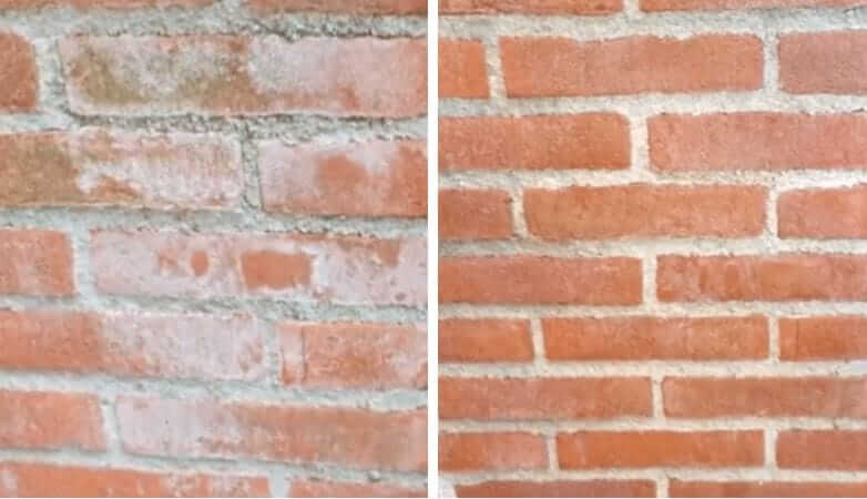 Tem manchas brancas na parede de tijolos ou azulejos do jardim? Com este truque você pode facilmente se livrar delas!