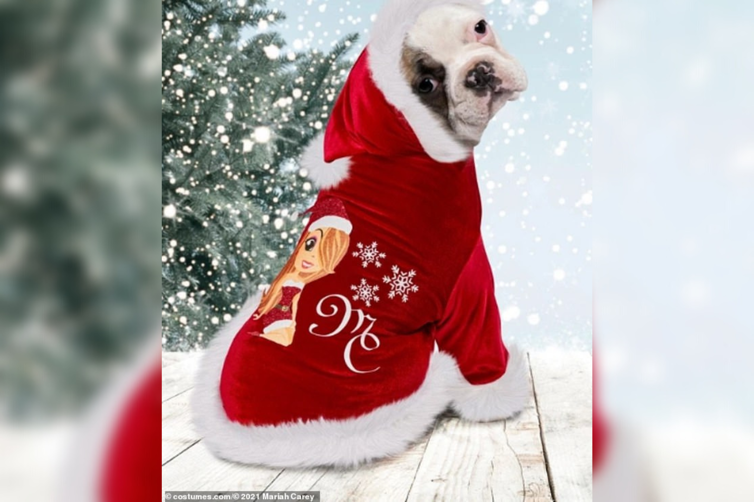 Je zult je ogen niet geloven wanneer je ziet hoe deze 29 beroemdheden Kerstmis vieren!