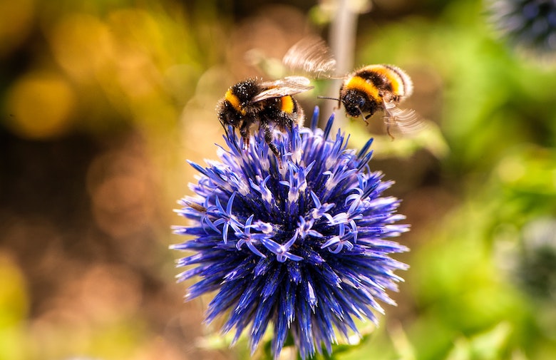 These 21 garden hacks will save you a lot of time and money