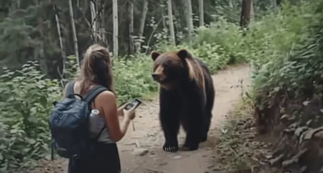 Mulher segue urso na floresta depois que ele se aproxima inesperadamente dela no ponto de ônibus