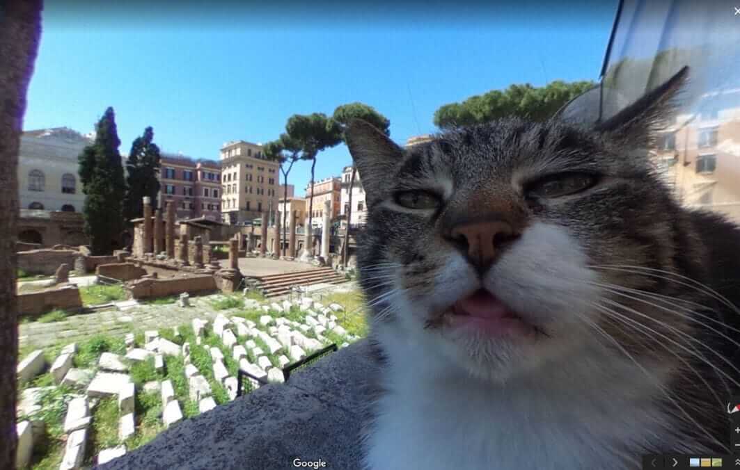 Estas são as 12 fotos mais bizarras do Google Street View