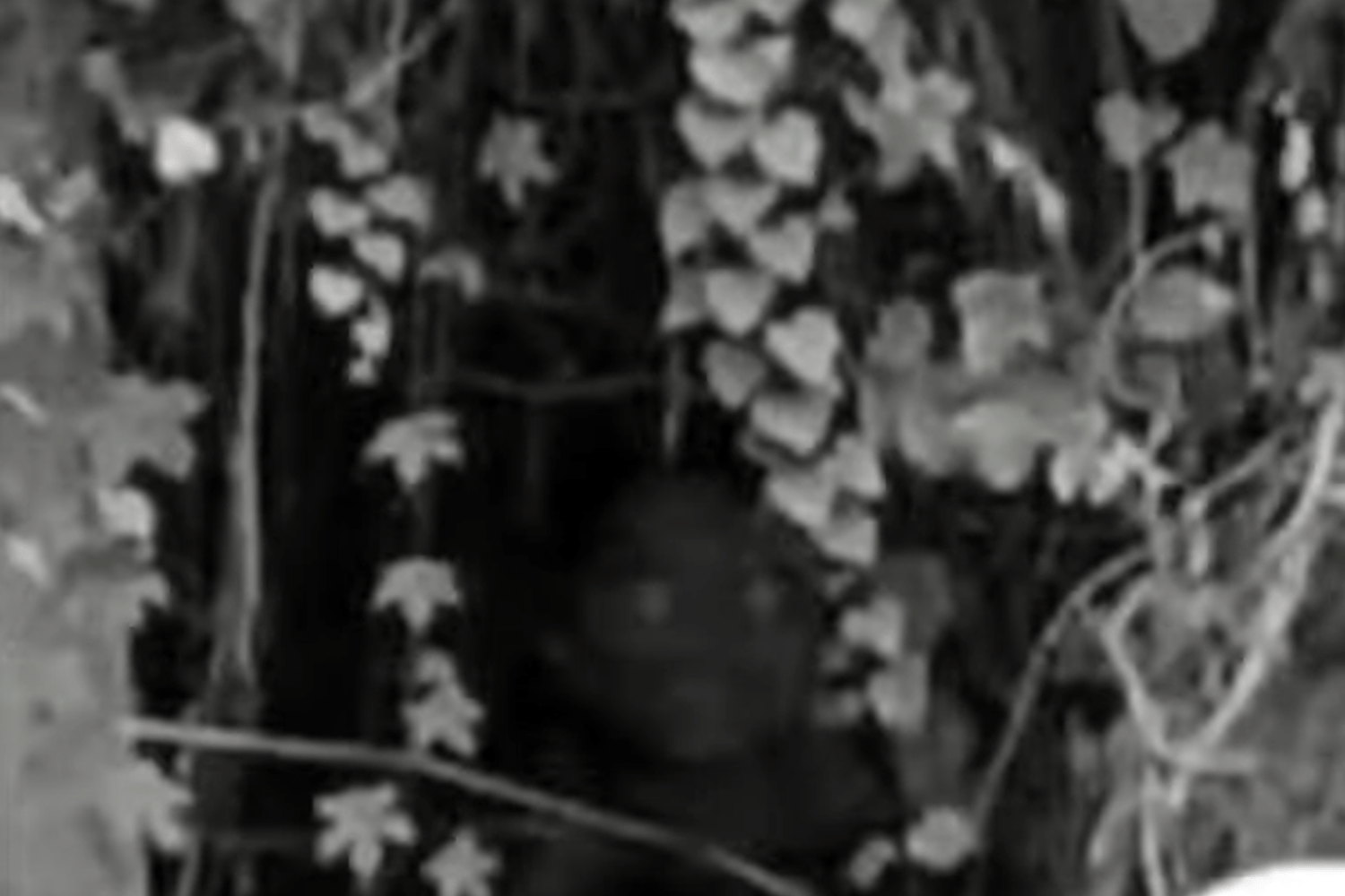 Ben je dapper genoeg om beter te kijken? 5 griezelige foto's met geheimen die te creepy zijn om te negeren