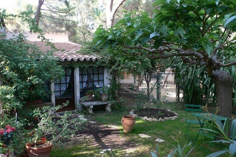 Uma vista única na casa de Brigitte Bardot em St. Tropez