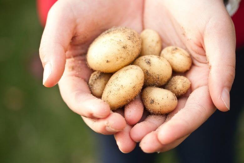 5 coisas que você pode limpar com batatas