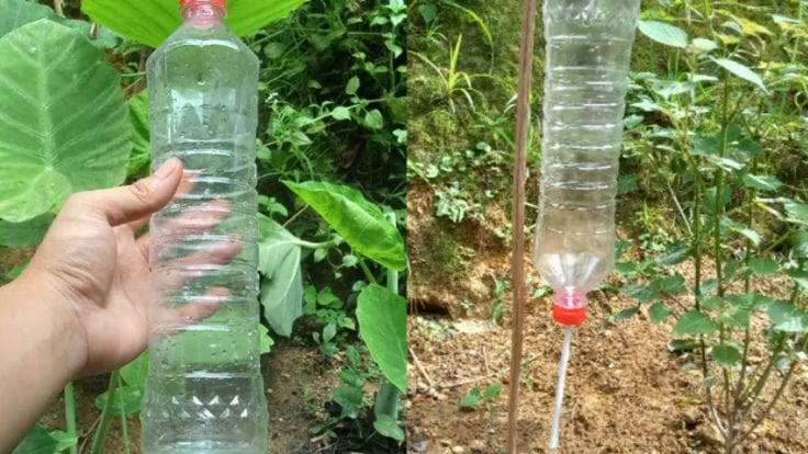 Our top 14 genius garden hacks that will save you a lot of money and time