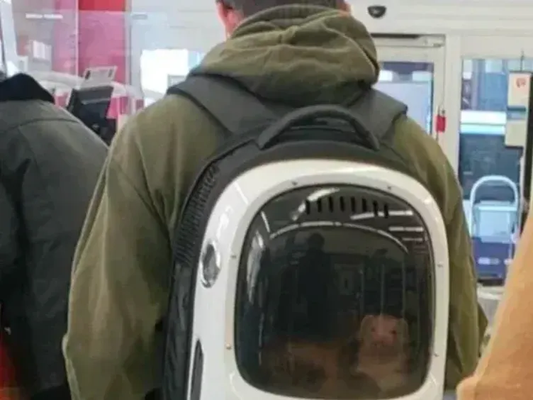 Aisle Antics: 37 sytuacji, w których zakupy spożywcze okazały się przezabawne!