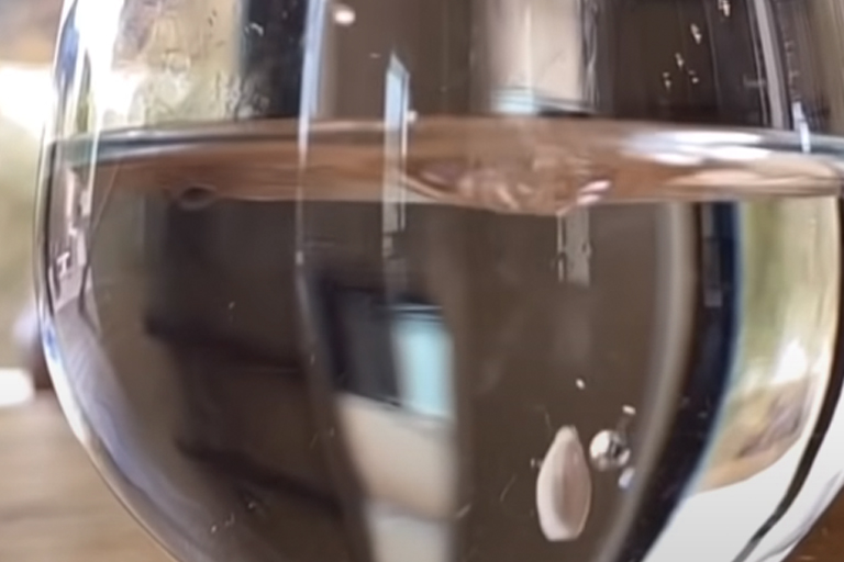 Ze deed een citroenpitje in een glas water en je gelooft niet wat er gebeurde!
