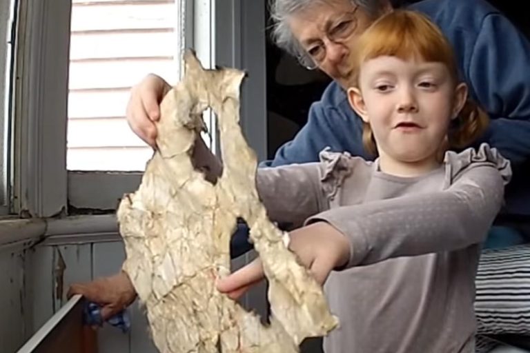 Little Girl Finds A Secret Room In Her House That Leads Into An Even Wilder Surprise