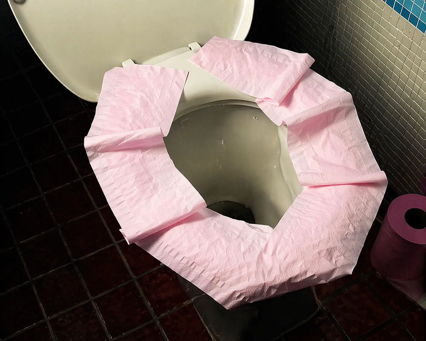 Nie ryzykuj! Umieszczanie papieru toaletowego na desce sedesowej przynosi odwrotny skutek niż myślisz