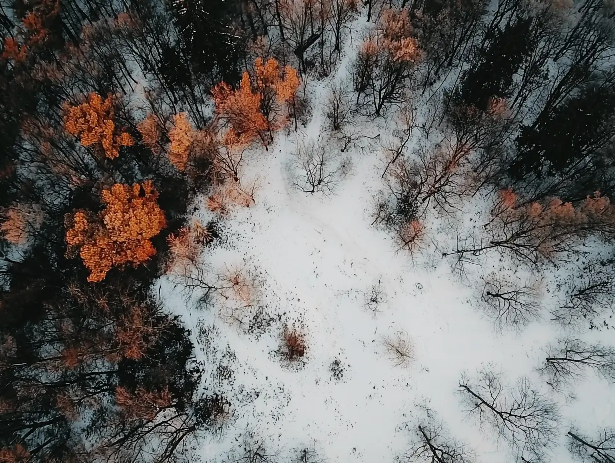 Rolnik poszedł do lasu po drewno na opał, ale znalazł coś mrożącego krew w żyłach.