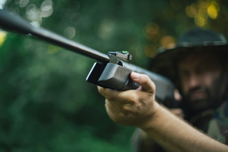Ten lew został zauważony na wolności - weterynarz jest zszokowany, gdy zdaje sobie sprawę, dlaczego jest tak ogromny