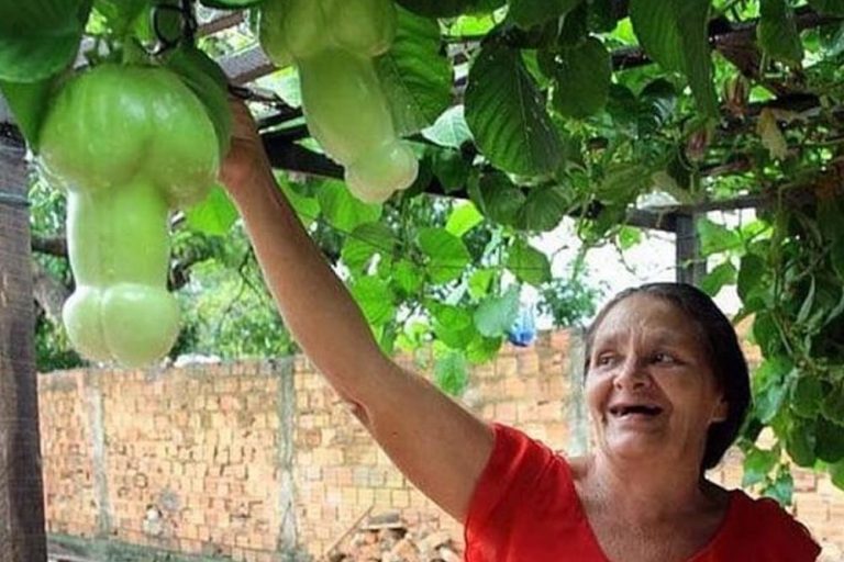 16 compleet onschuldige foto's die bewijzen dat je een ‘dirty mind’ hebt