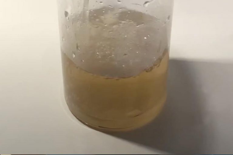 Maak je eigen insectenspray met deze gebruikelijke ingrediënten, zonder chemicaliën!
