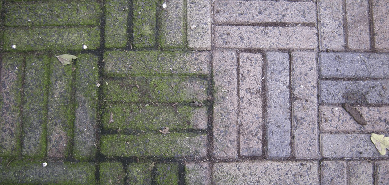 Chcesz usunąć chwasty? Ta sztuczka nie zajmie dużo czasu! Super praktyczne!