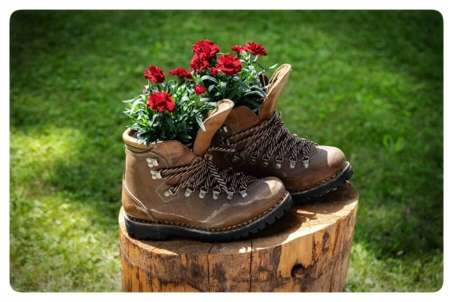 Our top 14 genius garden hacks that will save you a lot of money and time