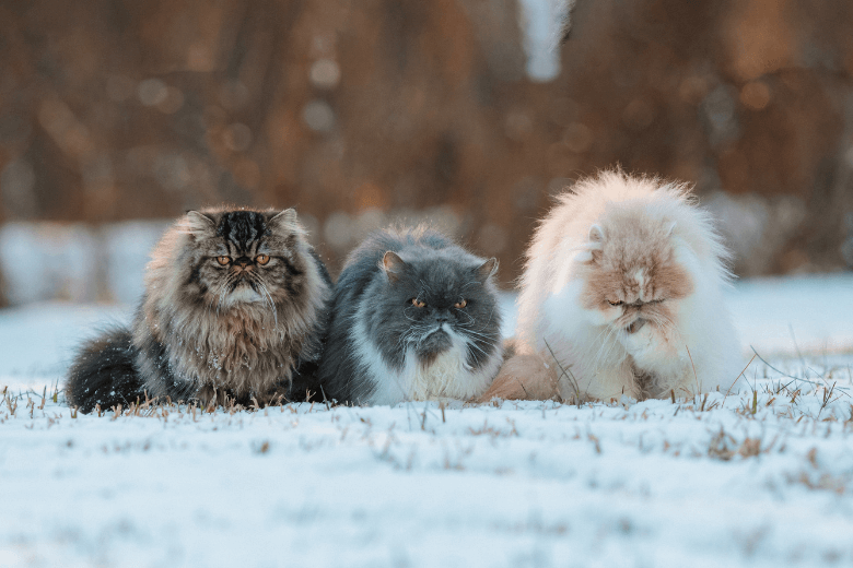 Te znaki zodiaku stają się bardzo zrzędliwe, gdy są głodne
