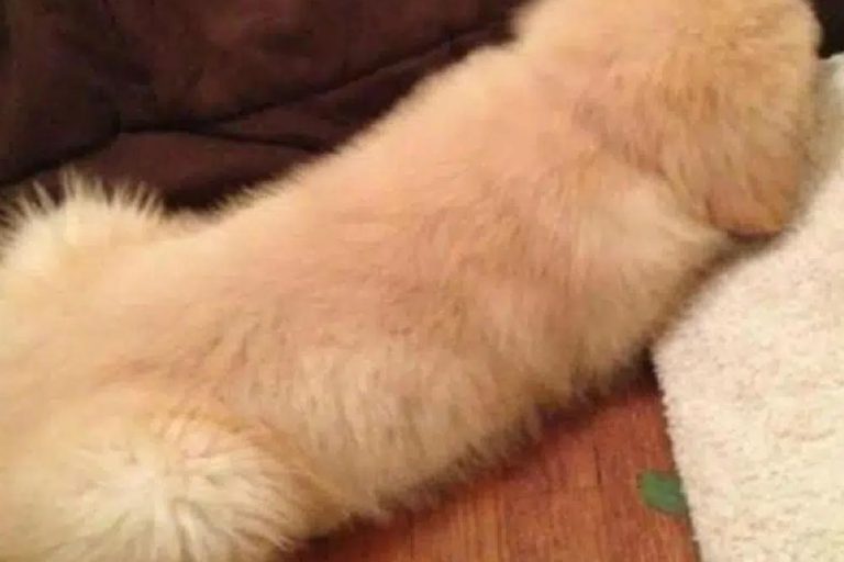 16 compleet onschuldige foto's die bewijzen dat je een ‘dirty mind’ hebt