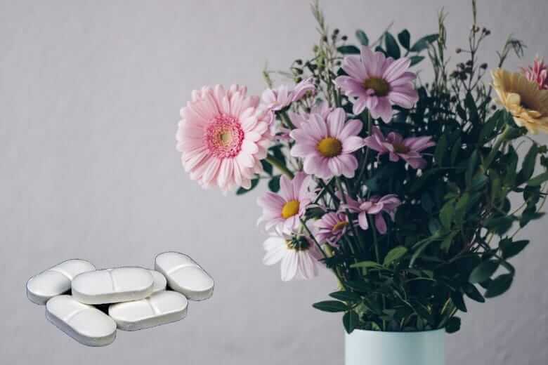 Per questo motivo dovresti mettere un'aspirina nel vaso dei fiori