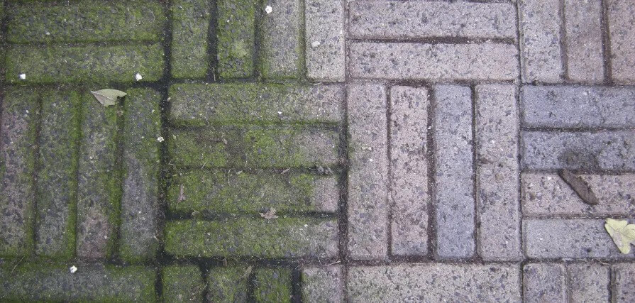 Rimuovere le erbacce? Con questo trucchetto non ci vorrà assolutamente molto! Super pratico